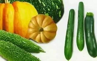 白桦树吃瓜,一场生态奇观