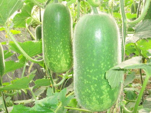 7410吃瓜,揭秘娱乐圈背后的那些事儿