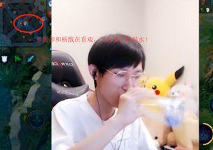 男吃瓜,揭秘娱乐圈那些不为人知的幕后故事