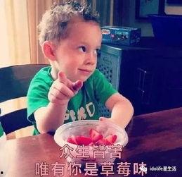 萌娃吃瓜男头像,解锁夏日欢乐头像新潮流