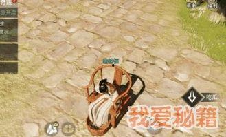 吃瓜泡脚,揭秘健康生活的秘诀