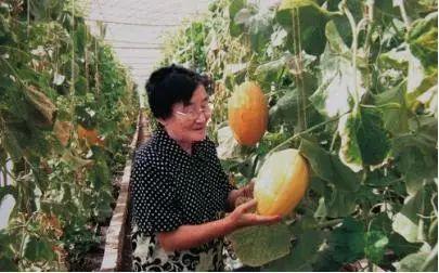 梦到亡祖母吃瓜,追忆往昔情意长