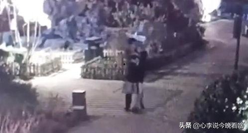 地府吃瓜大会视频,揭秘阴间众生相