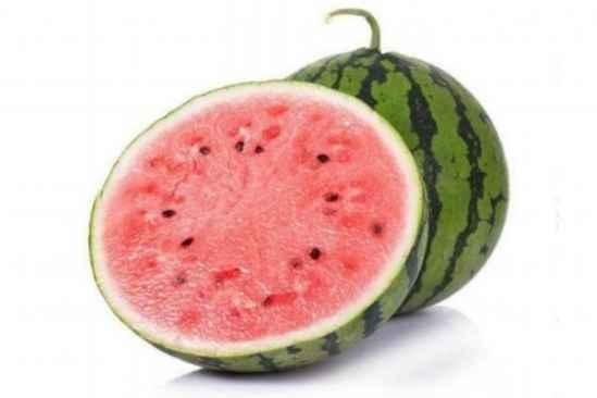 什么瓜吃外壳,探索吃外壳的创意之旅