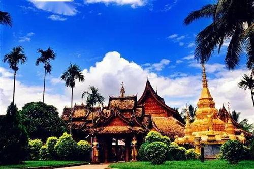 殿殿danis吃瓜,揭秘娱乐圈幕后故事