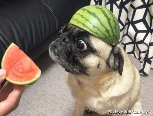 带您吃瓜小号,网络红人的幕后故事