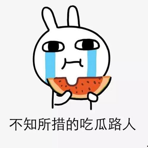 吃瓜要努力,揭秘娱乐圈背后的奋斗故事