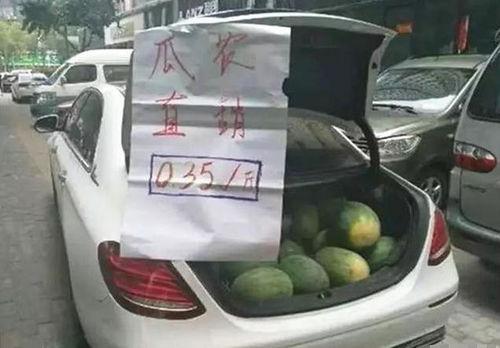 吃瓜大汽车,揭秘汽车界的“瓜田”趣事