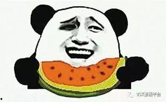 吃瓜群众瓜哥奇葩上菜,揭秘吃瓜群众瓜哥的奇葩上菜传奇