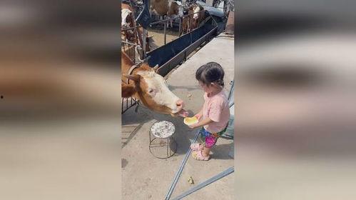 奶奶终于舍得吃瓜,终于舍得品尝瓜果的喜悦时刻